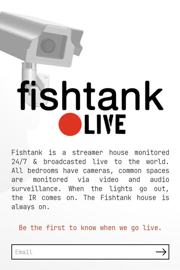 Fishtank.live 2024